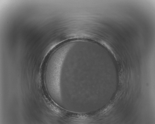 X0000068300975200604281705