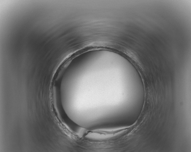 X0000068300976200604281705