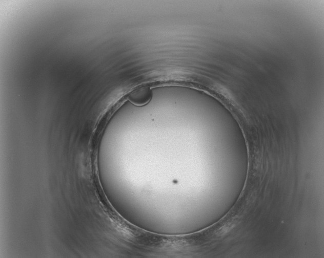 X0000068300978200604281705