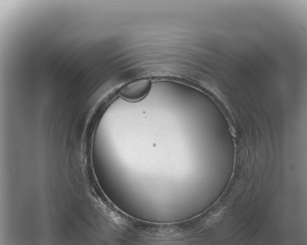 X0000068300979200604281705