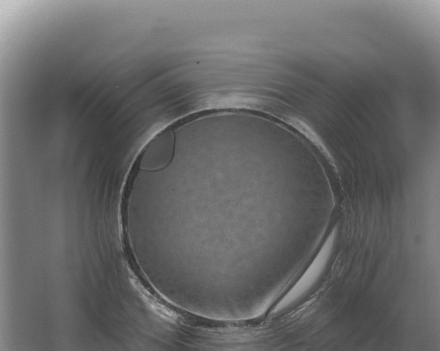 X0000068300980200604281705