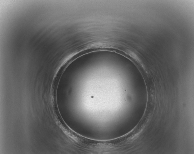 X0000068300981200604281705