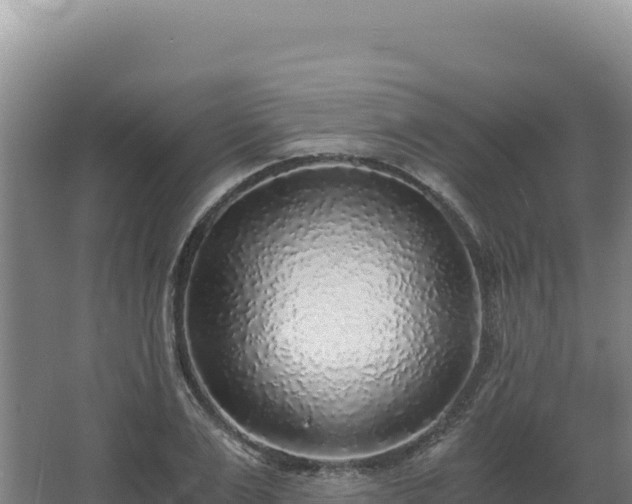 X0000068300983200604281705