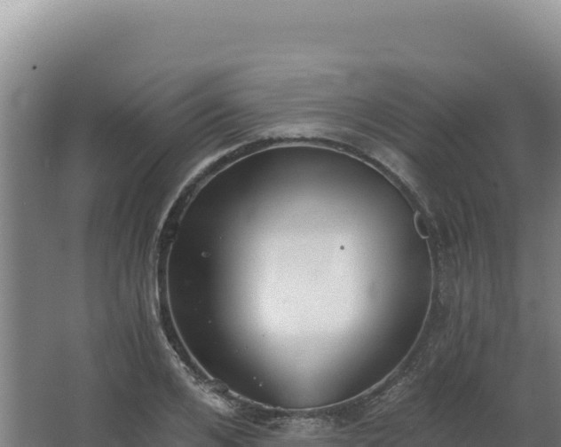 X0000068300984200604281705