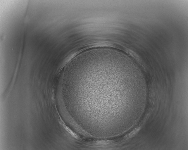 X0000068300985200604281705