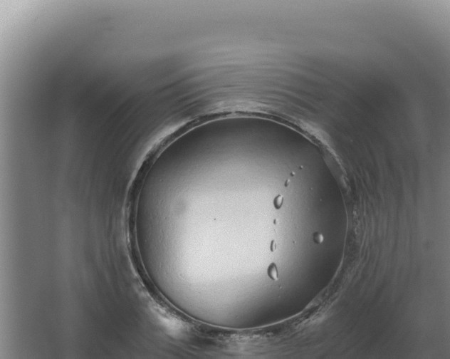 X0000068300987200604281705