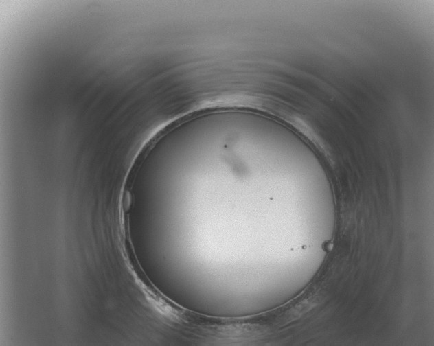 X0000068300988200604281705