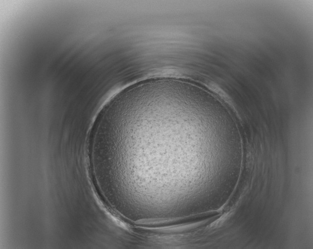 X0000068300989200604281705