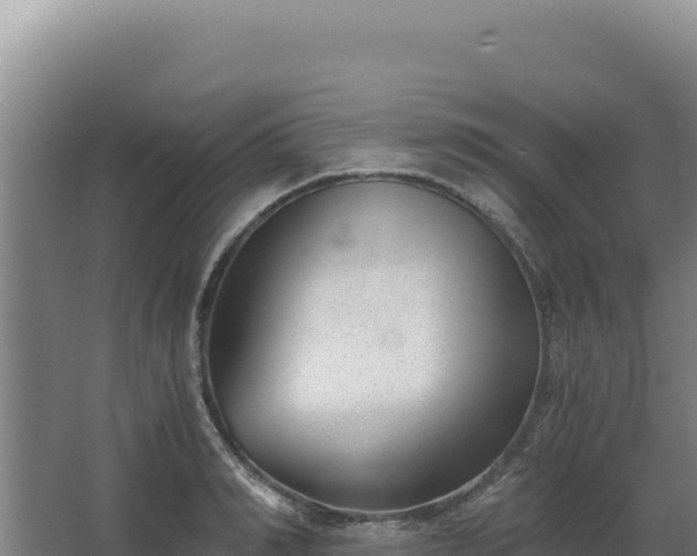 X0000068300990200604281705