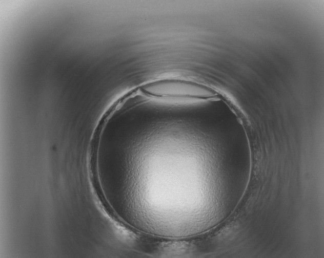 X0000068300991200604281705