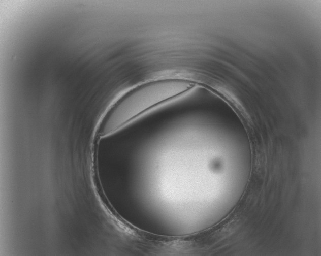 X0000068300992200604281705