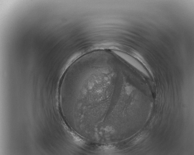 X0000068300994200604281705