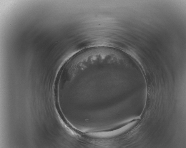 X0000068300995200604281705