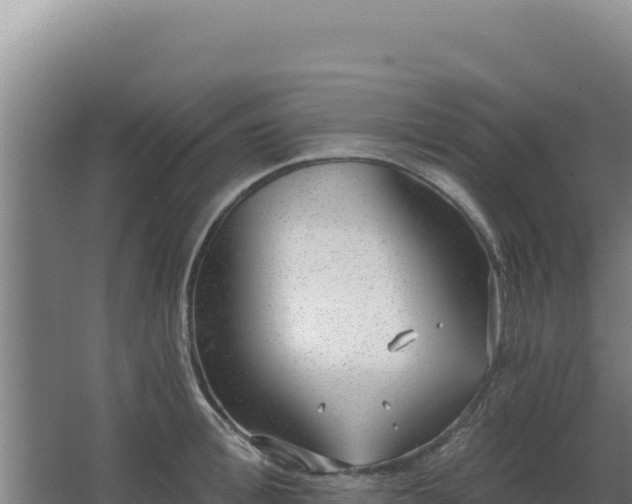 X0000068300996200604281705