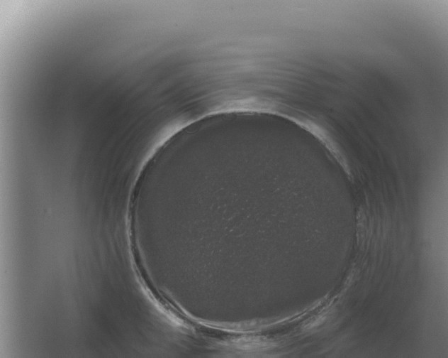 X0000068300998200604281705