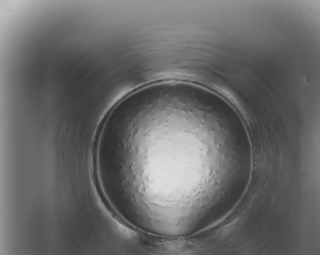 X0000068300999200604281705