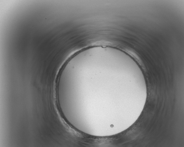 X0000068301000200604281705