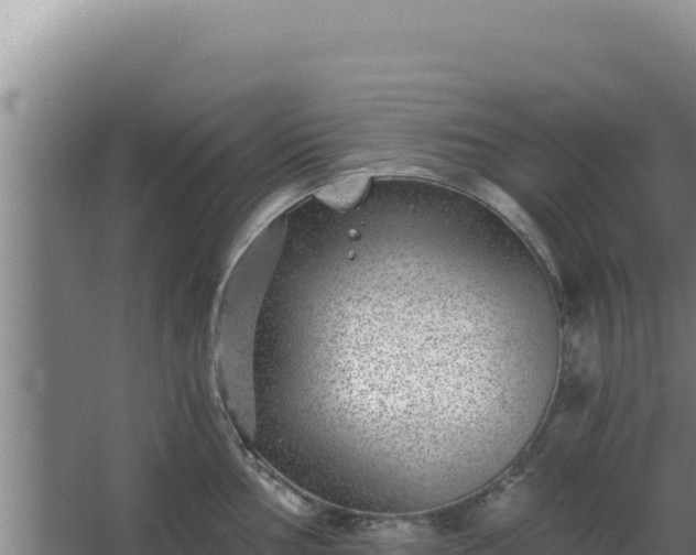 X0000068301002200604281705