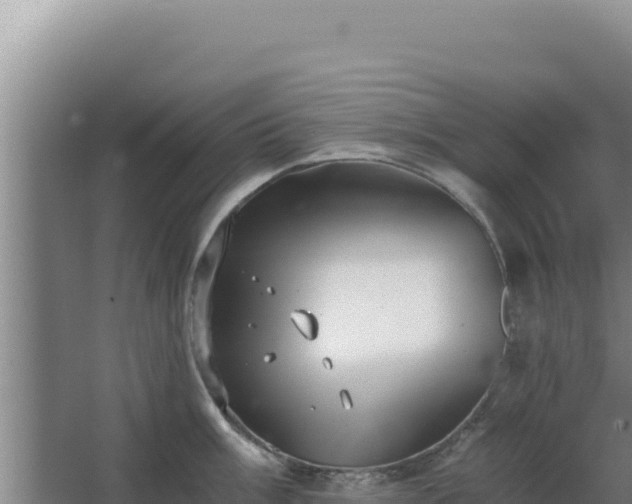 X0000068301003200604281704