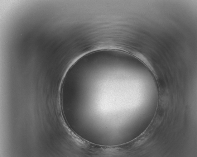 X0000068301004200604281704