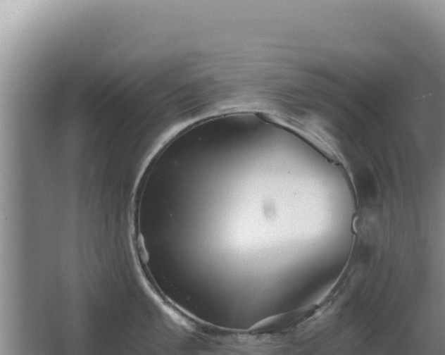 X0000068301005200604281704