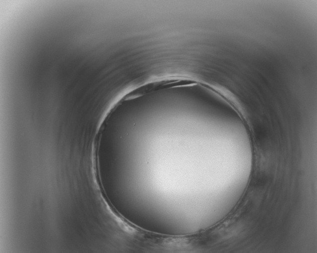 X0000068301006200604281704