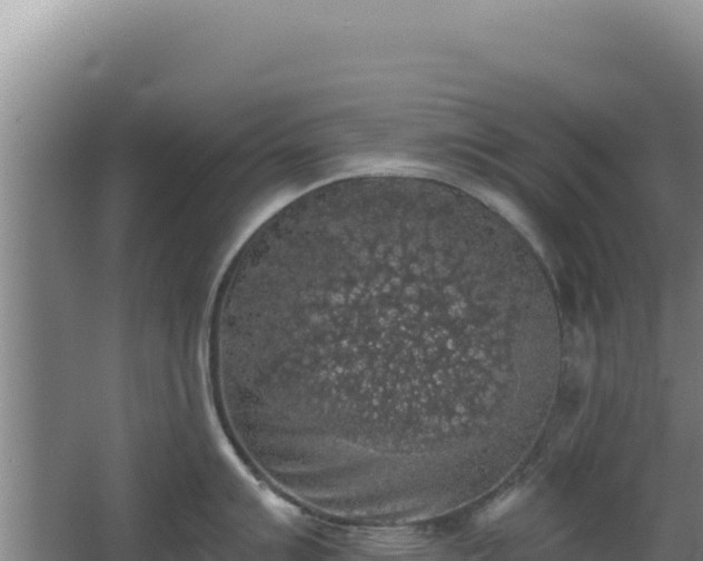 X0000068301007200604281704