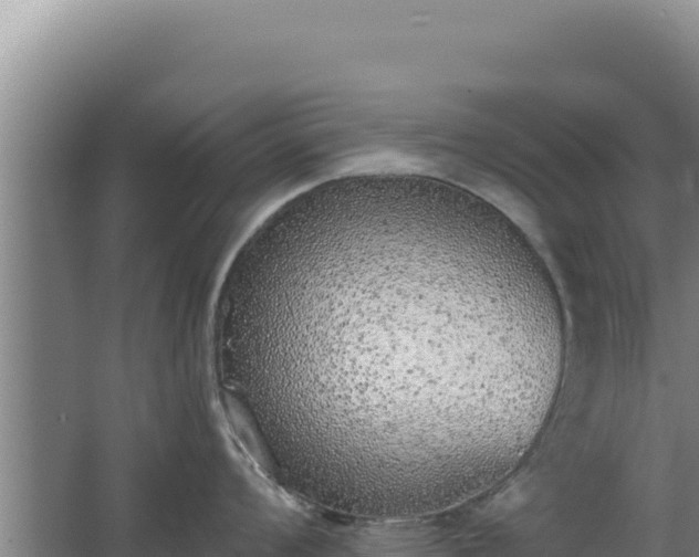 X0000068301008200604281704