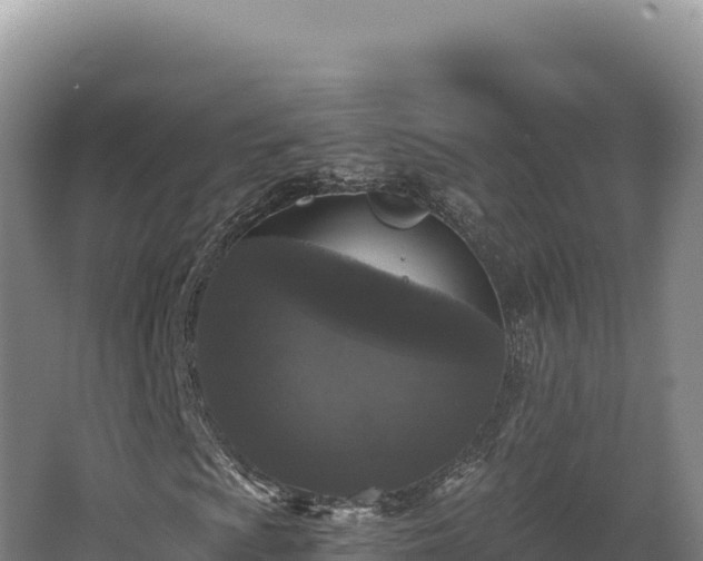 X0000068301009200604281704