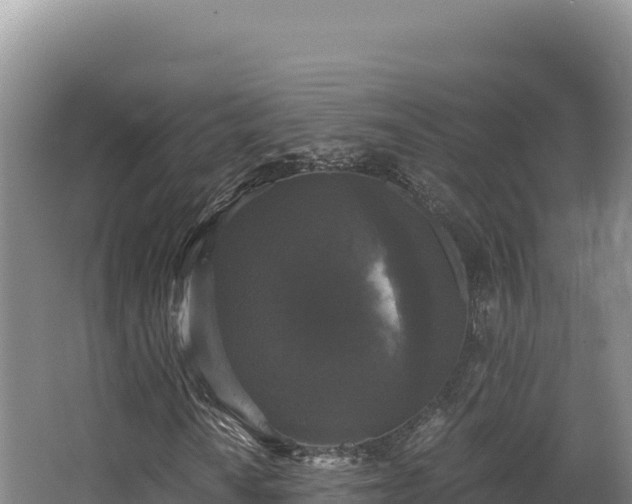 X0000068301010200604281704