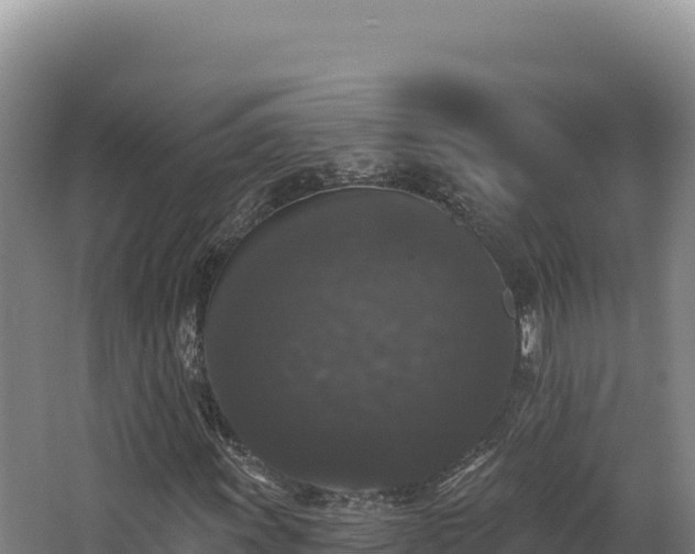 X0000068301011200604281704