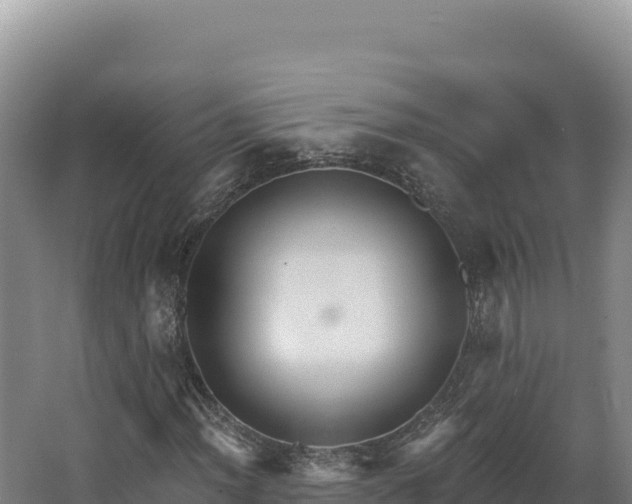 X0000068301012200604281704