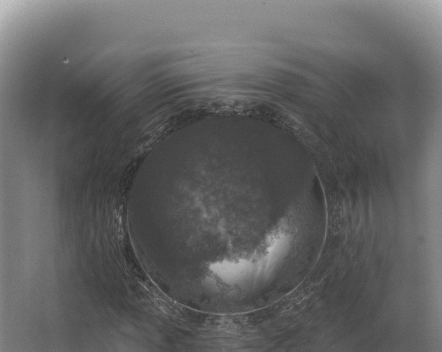 X0000068301013200604281704