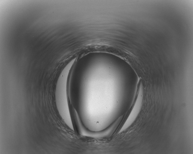 X0000068301014200604281704