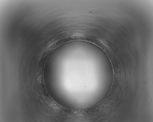 X0000068301015200604281704