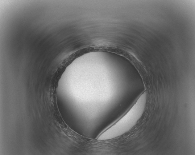 X0000068301016200604281704