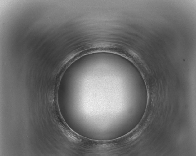 X0000068301017200604281704