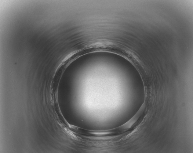 X0000068301018200604281704