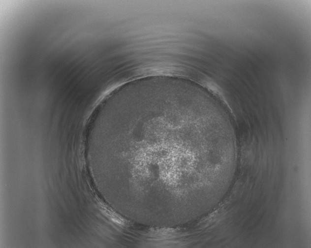 X0000068301019200604281704