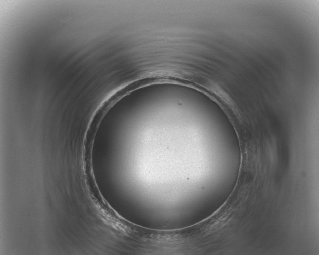 X0000068301020200604281704