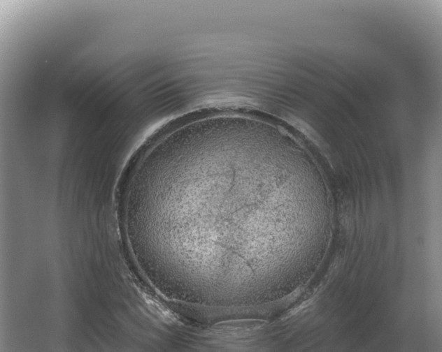 X0000068301022200604281704