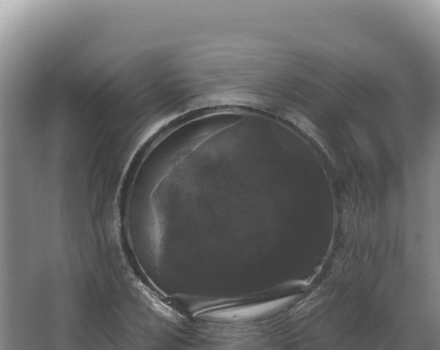 X0000068301024200604281704