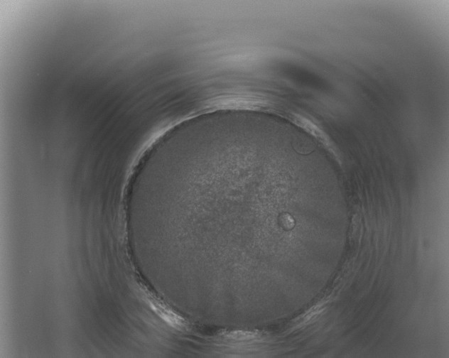 X0000068301027200604281704