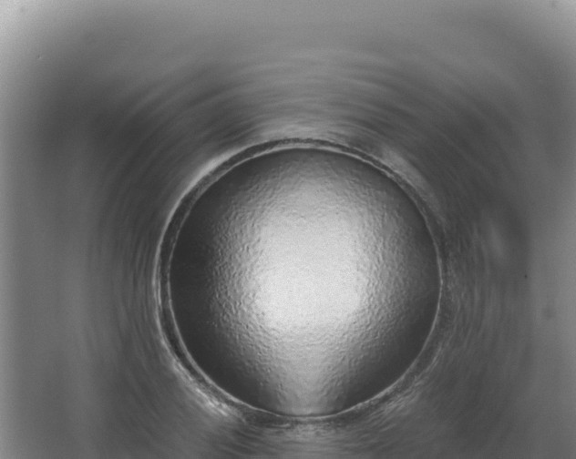 X0000068301028200604281704