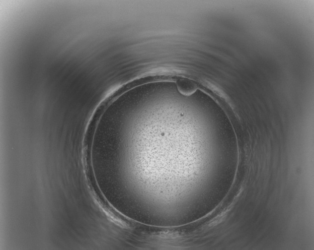 X0000068301029200604281704