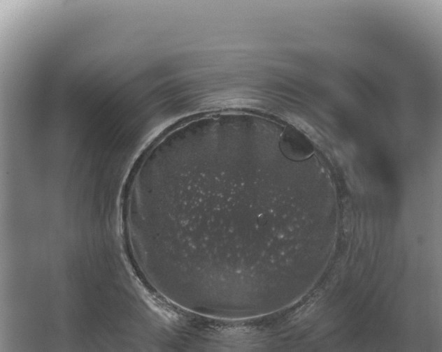 X0000068301031200604281704