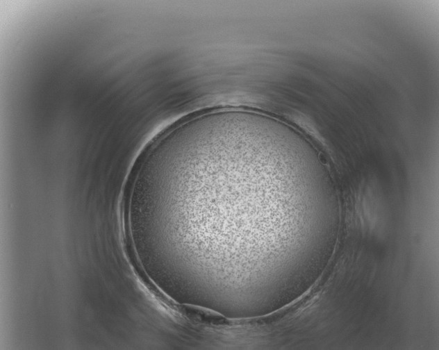 X0000068301032200604281704