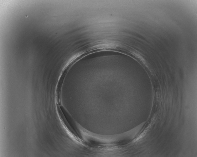 X0000068301034200604281704