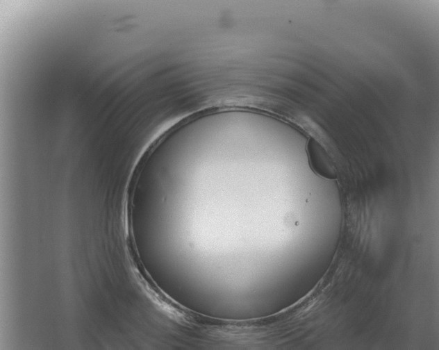 X0000068301036200604281704