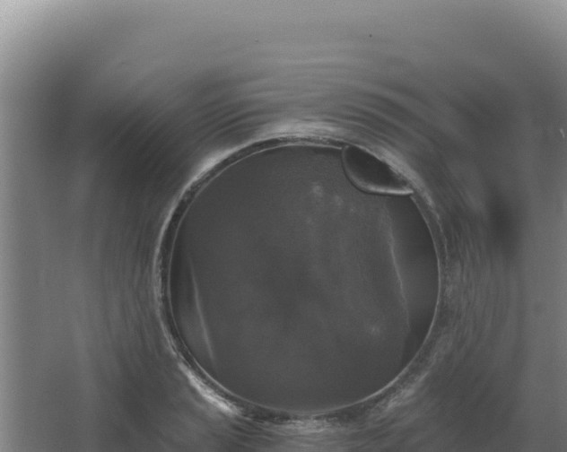 X0000068301037200604281704